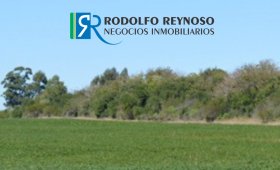 50 ha. en Cnia. Elía (ER)